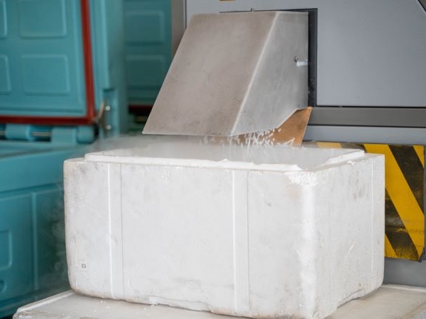 You are currently viewing TSF CRYO : NETTOYAGE PAR LA PROJECTION DE CO2